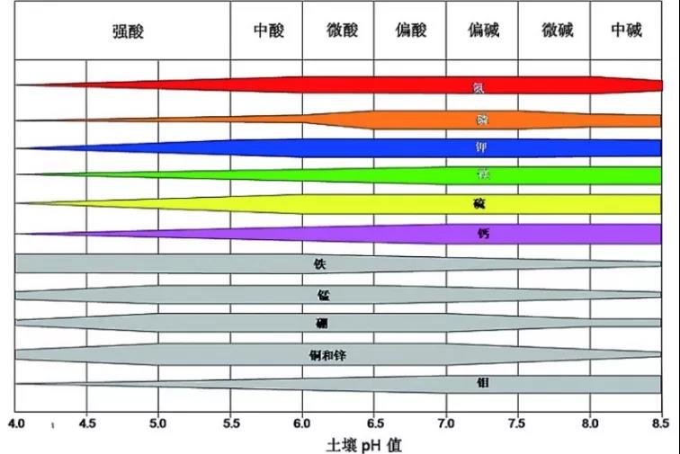土壤PH速測儀，快速測PH